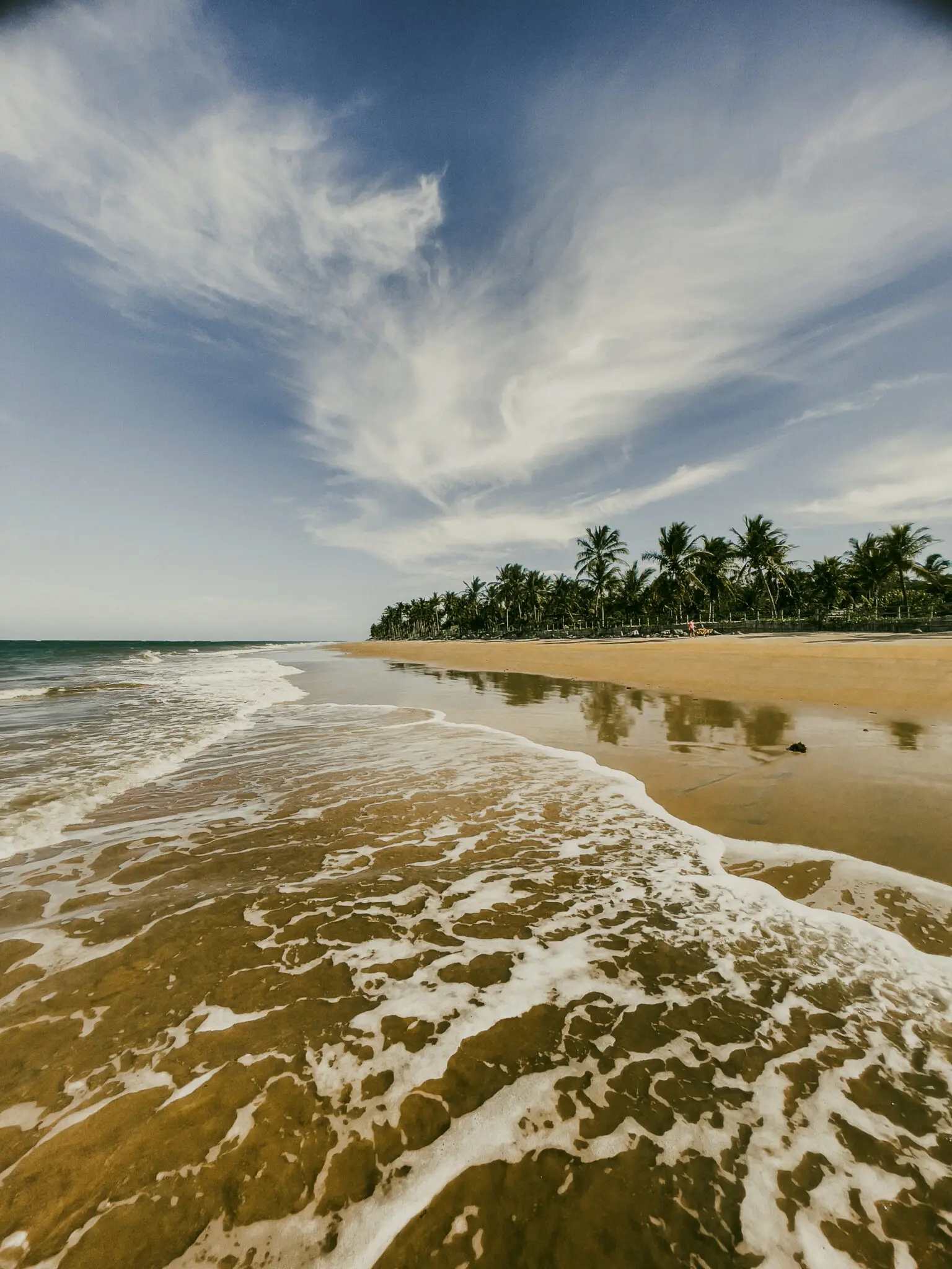 Ondas chegando à praia deserta com coqueiros ao fundo sob céu com nuvens finas