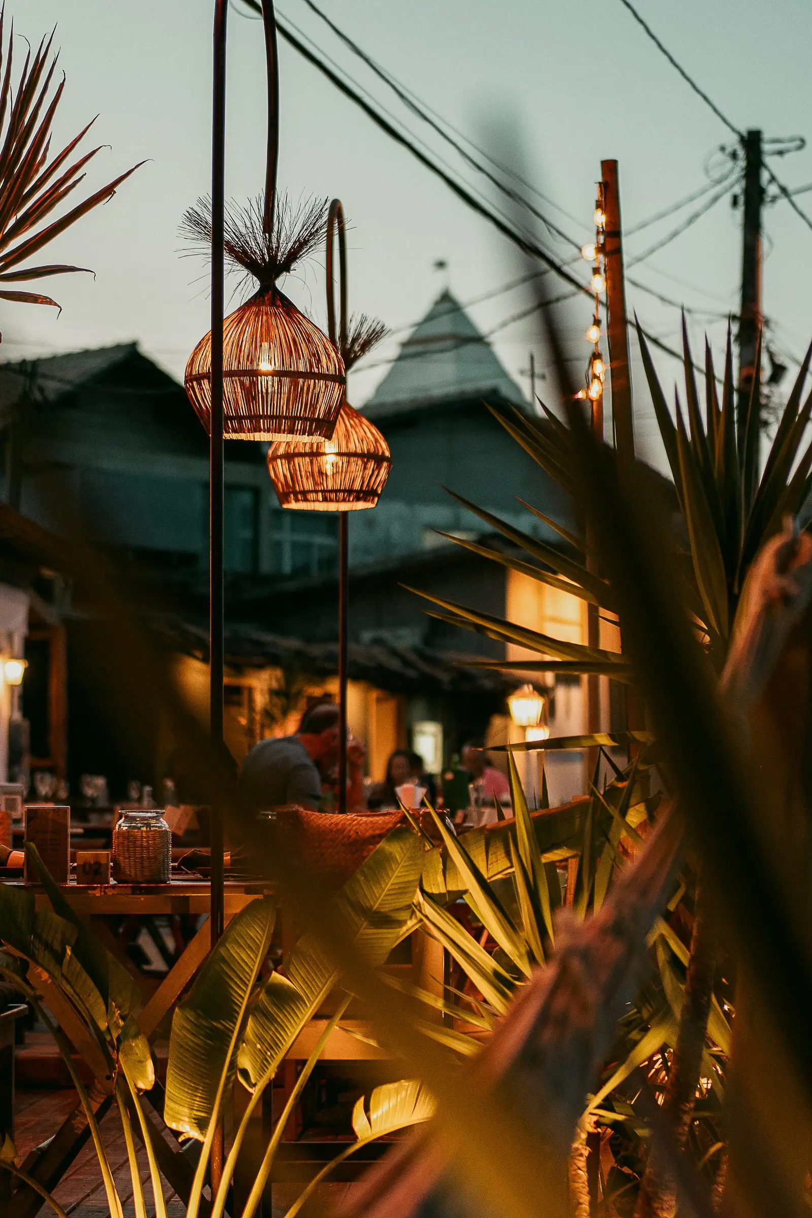 Open-air restaurant at nightfall, fibre lamps among foliage