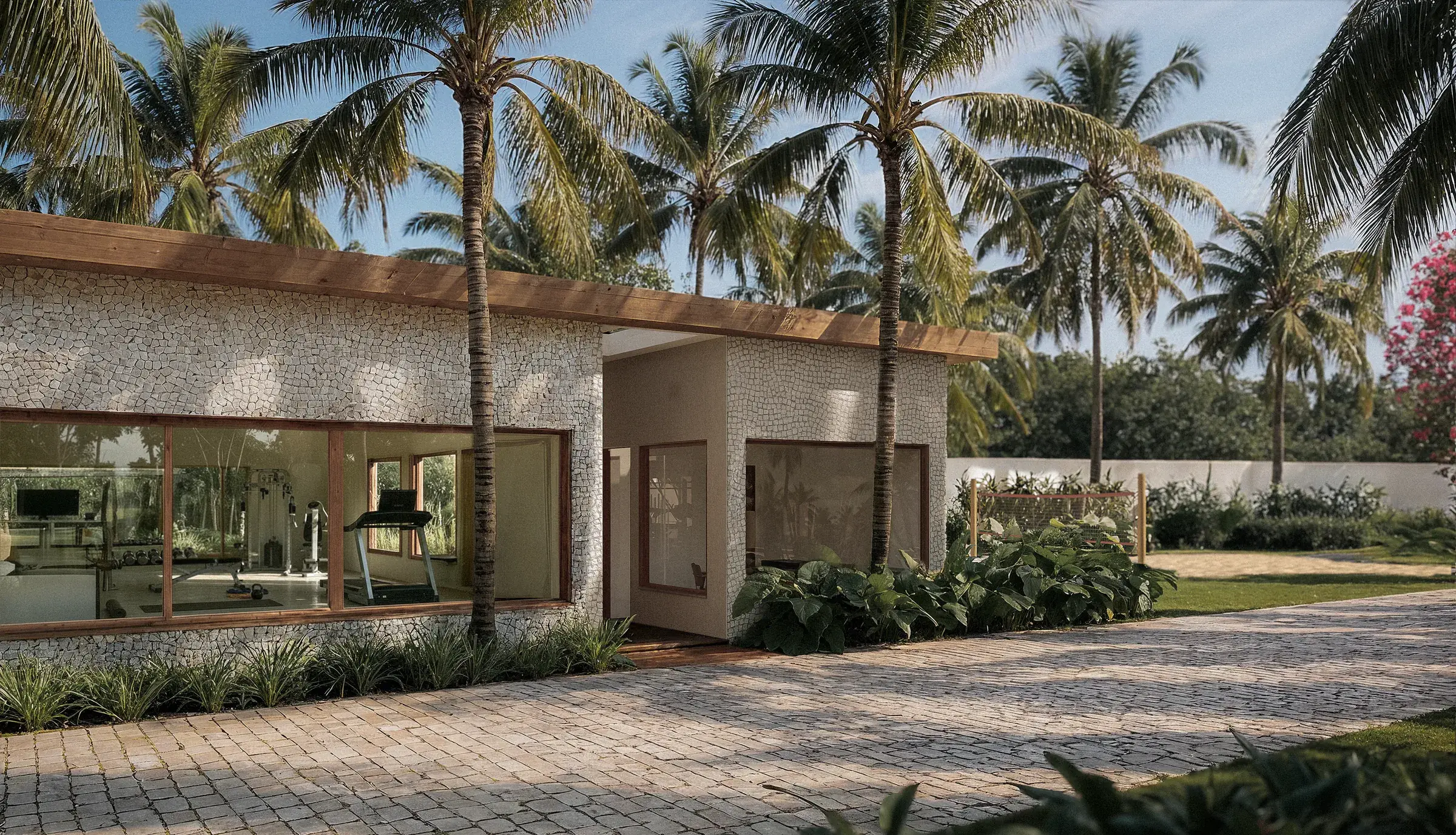 Azul gym: a glass pavilion among palm trees with stone paving