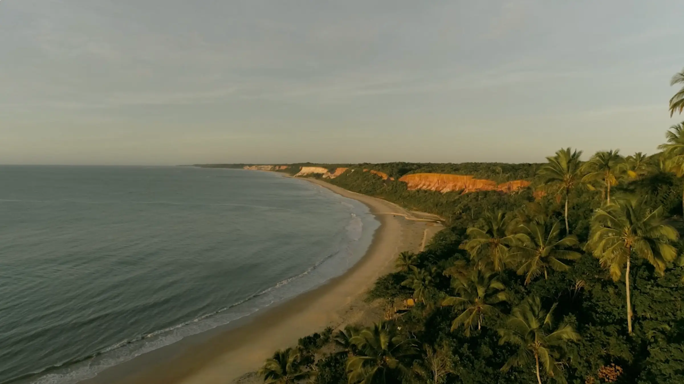 Vista aérea da praia de Pitinga: faixa de areia, mata e mar ao entardecer