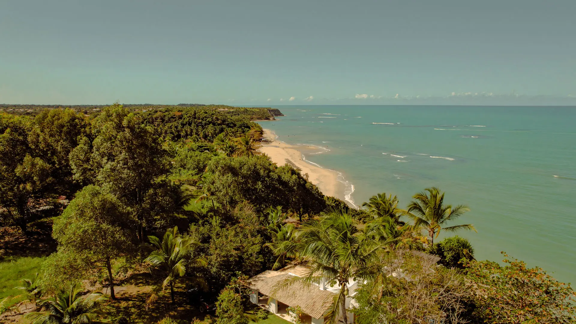 Vista aérea da costa da Praia do Espelho com mata, areia e mar