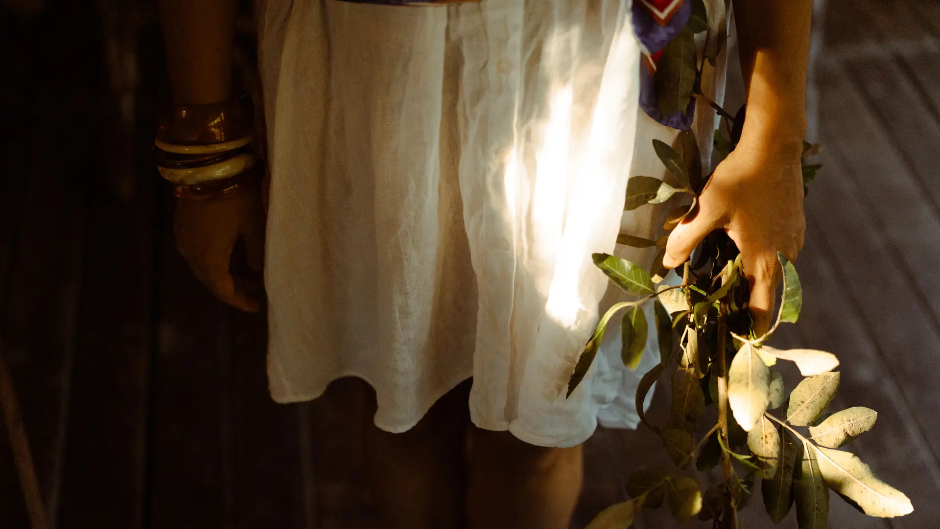 Mãos com pulseiras segurando ramos de ervas, sob a luz do sol