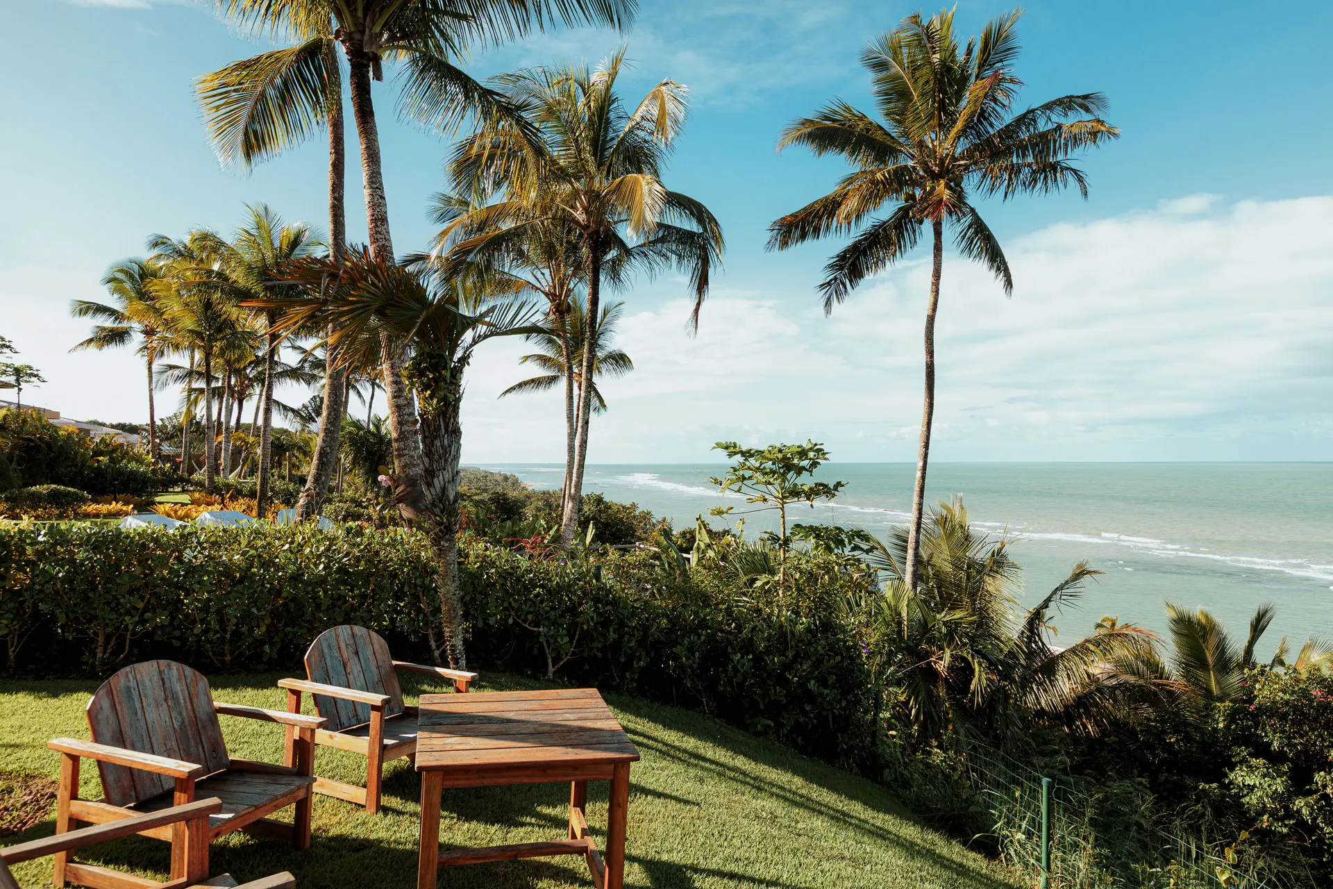 Wooden chairs on the lawn facing the sea and palm trees, at Falésia