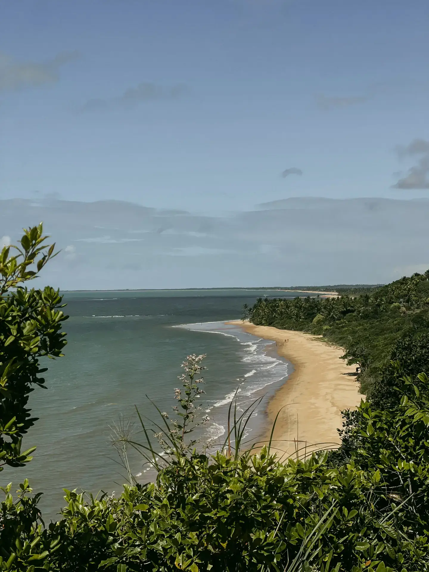 Praia do Satu vista do alto, com a mata chegando à areia