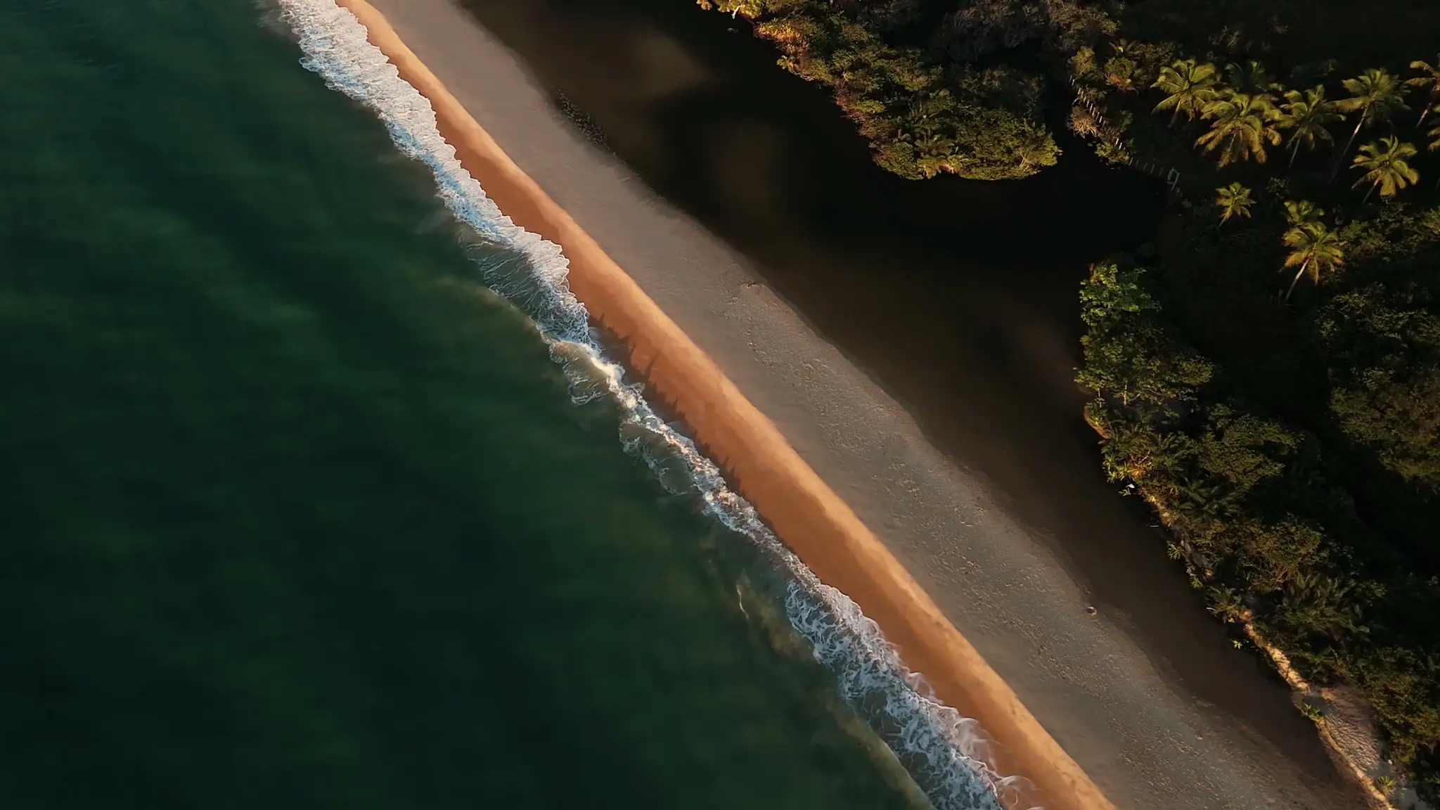 Vista aérea de uma praia do sul da Bahia, com ondas, faixa de areia e mata nativa