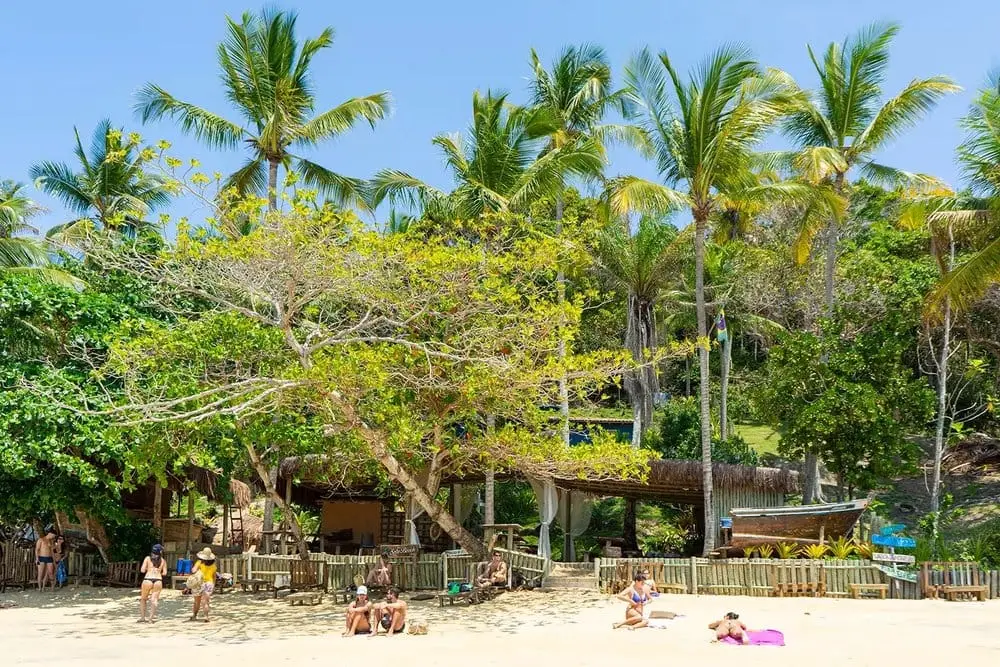 Beach hut under palm trees at Satu beach, with bathers on the sand