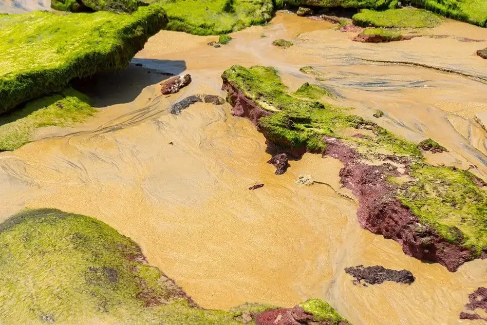 Sand and algae over the rocks at low tide on Satu beach