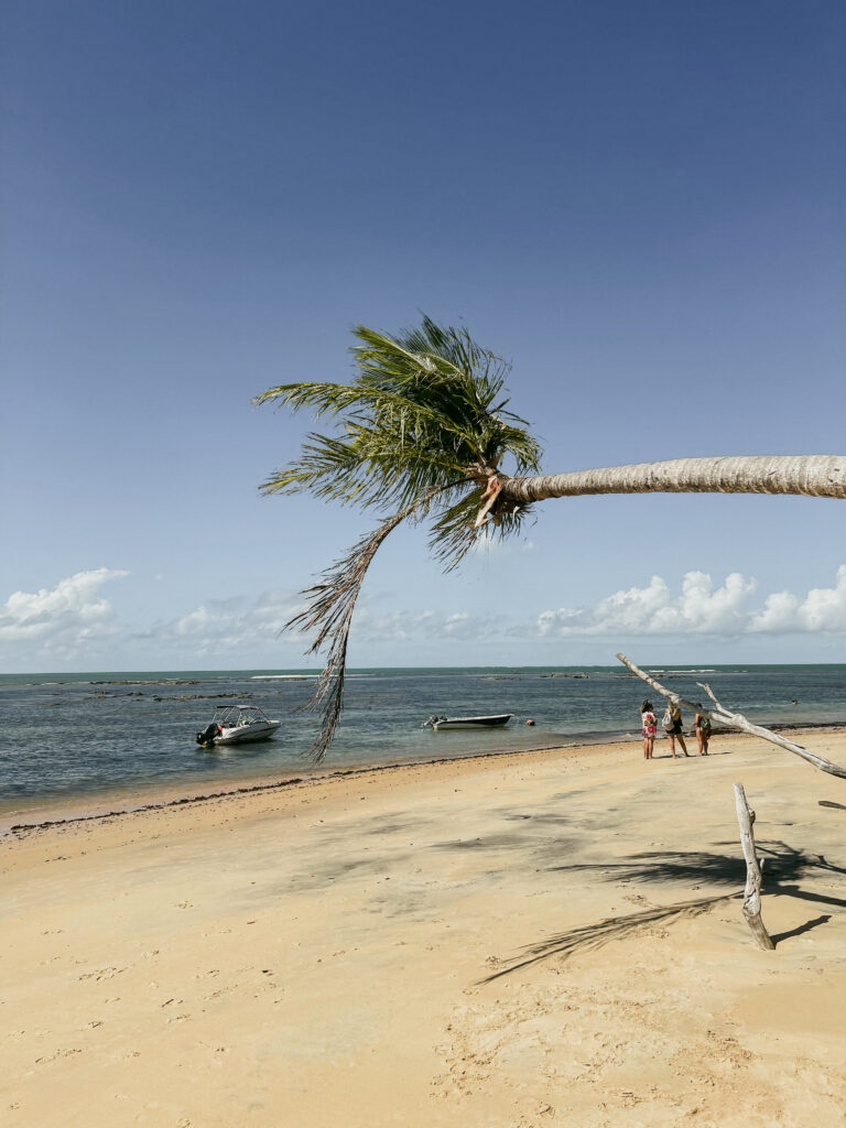 Um cenário de praia luxuoso em Trancoso apresenta uma palmeira inclinada elegantemente arqueada sobre a areia. Em Arraial d'Ajuda, três indivíduos passeiam pela costa perto de casas de luxo à beira-mar, com barcos ancorados em águas serenas. O céu ostenta apenas algumas nuvens, revelando uma visão clara do horizonte distante do oceano.