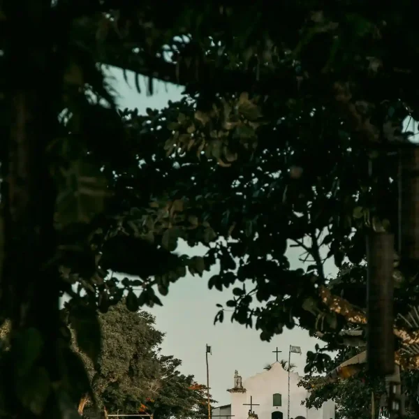 20240108-_12A2730-cortada