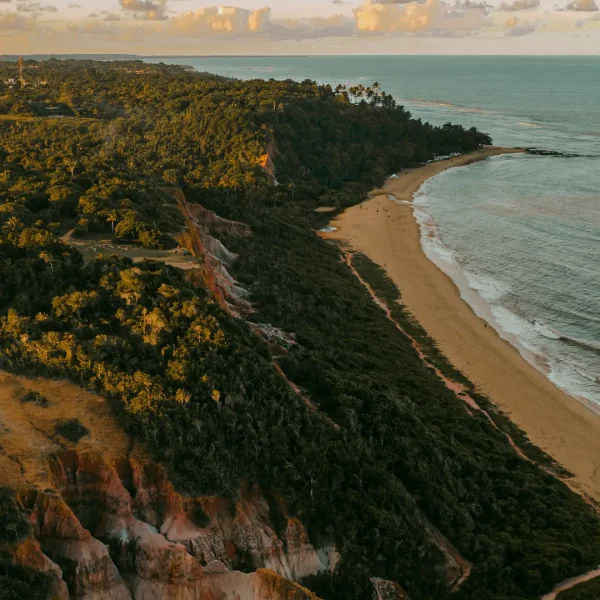 Paraglider-Pitinga-38-1