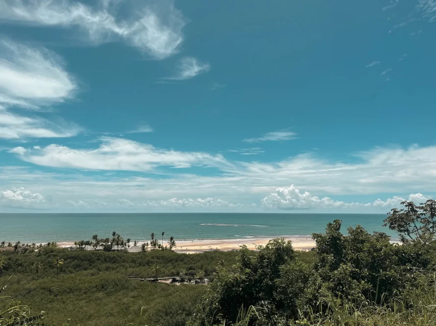 The upscale beach houses in Trancoso and Arraial d'Ajuda offer a picturesque coastal scene. Along the sandy shores, assorted palm trees rise under a clear azure sky with delicate clouds. Verdant plants in the forefront beautifully contrast the vast ocean vista, crafting a serene seaside atmosphere.